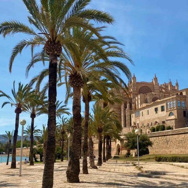Mallorca scene 18
