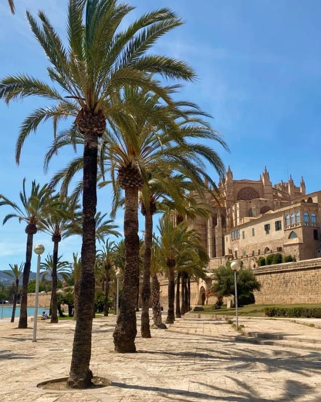 La Seu Cathedral