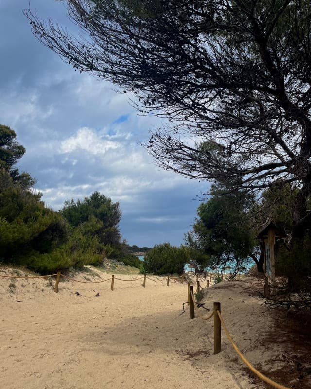 Cala Agulla beach