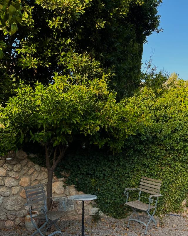 Sunlit stone terrace with wooden chairs and a lush tree in a Mallorcan village